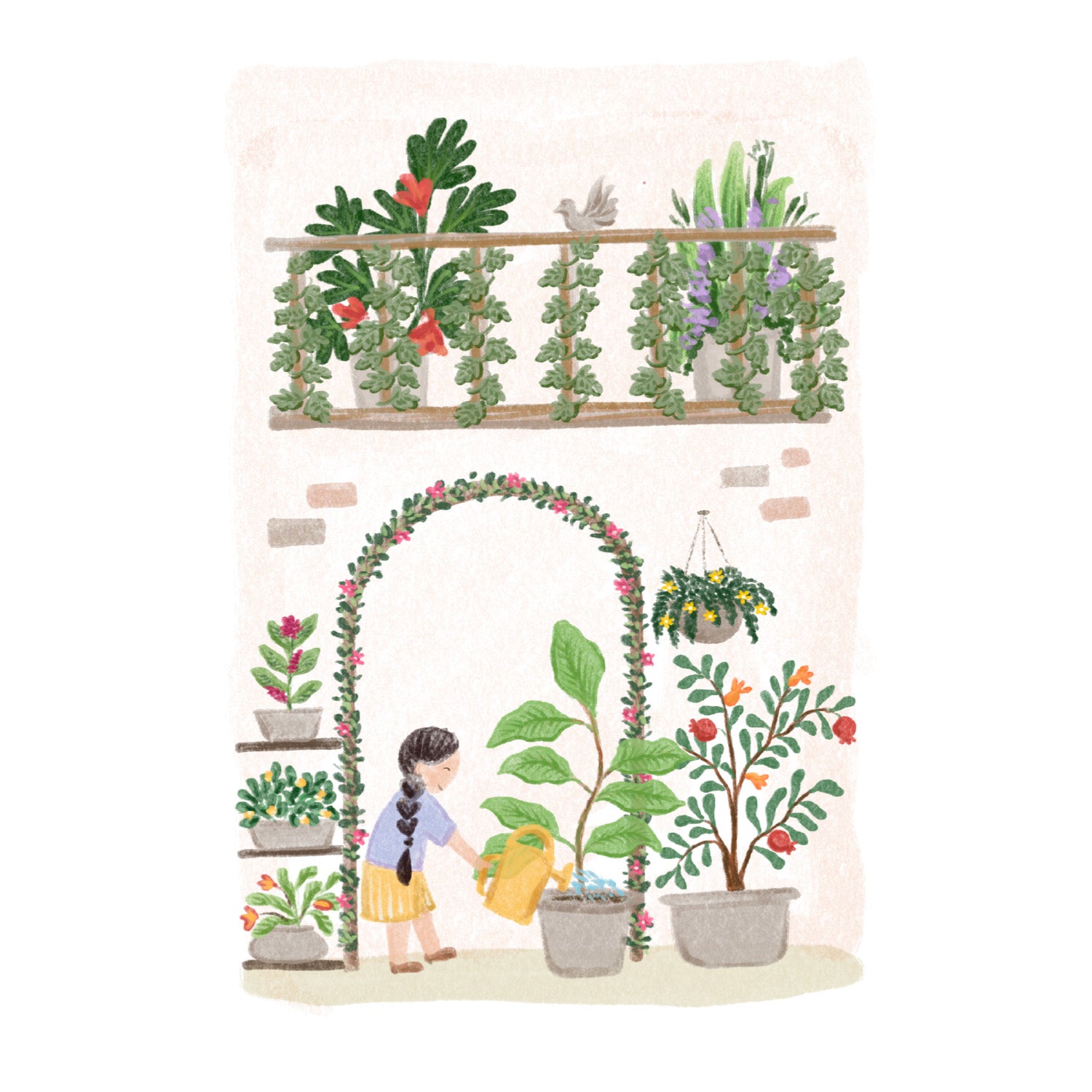 postcard-plants-2.jpg